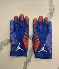 Florida gloves